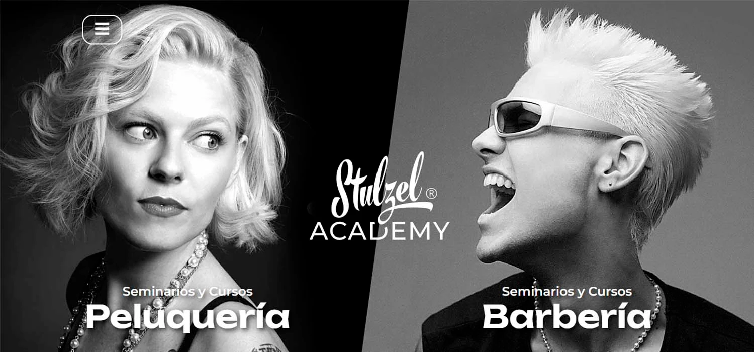 stulzel academy web