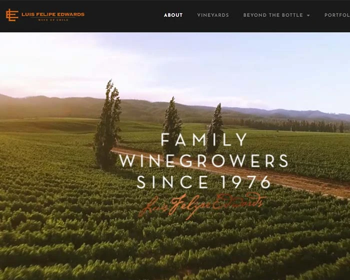 LFE Wines chile
